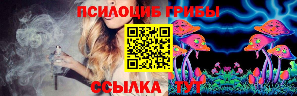 Галлюциногенные грибы Psilocybine cubensis Феодосия